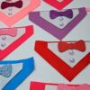 Colarinho Elegante 10Und. (11596) - Image 6