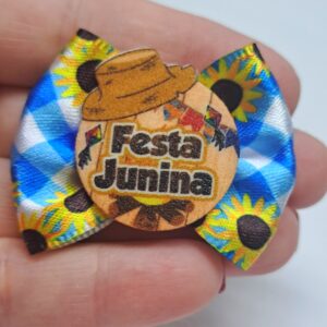 Laços Junino  Festa 10Und. (11756)